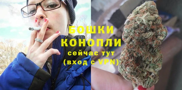 spice Горняк