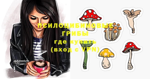 spice Горняк