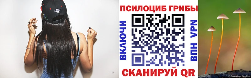 Псилоцибиновые грибы Psilocybine cubensis  KRAKEN онион  сайты даркнета какой сайт  сколько стоит  Губкинский 